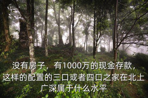 沒有房子，有1000萬的現(xiàn)金存款，這樣的配置的三口或者四口之家在北上廣深屬于什么水平