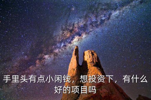 手里頭有點小閑錢，想投資下，有什么好的項目嗎