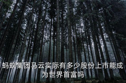 螞蟻集團(tuán)馬云實際有多少股份上市能成為世界首富嗎