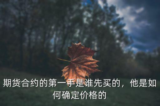 期貨合約的第一手是誰先買的，他是如何確定價格的