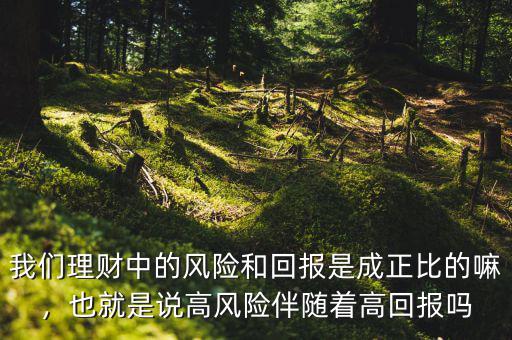 我們理財(cái)中的風(fēng)險(xiǎn)和回報(bào)是成正比的嘛，也就是說高風(fēng)險(xiǎn)伴隨著高回報(bào)嗎