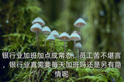 銀行業(yè)加班加點(diǎn)成常態(tài)，員工苦不堪言，銀行業(yè)真需要每天加班嗎還是另有隱情呢