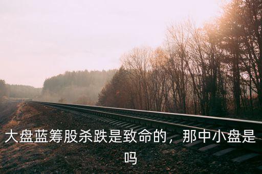 大盤(pán)藍(lán)籌股殺跌是致命的，那中小盤(pán)是嗎