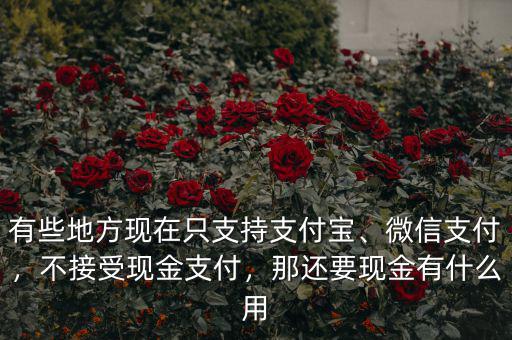 有些地方現(xiàn)在只支持支付寶、微信支付，不接受現(xiàn)金支付，那還要現(xiàn)金有什么用