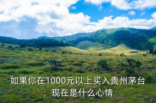 如果你在1000元以上買入貴州茅臺(tái)，現(xiàn)在是什么心情