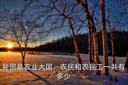 我國(guó)是農(nóng)業(yè)大國(guó)，農(nóng)民和農(nóng)民工一共有多少