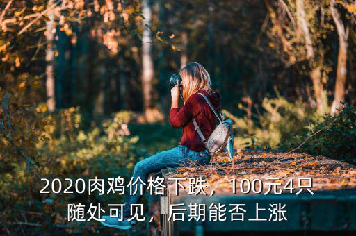 2020肉雞價(jià)格下跌，100元4只隨處可見(jiàn)，后期能否上漲