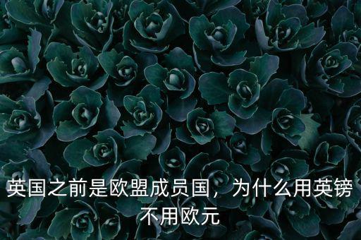 英國(guó)之前是歐盟成員國(guó)，為什么用英鎊不用歐元