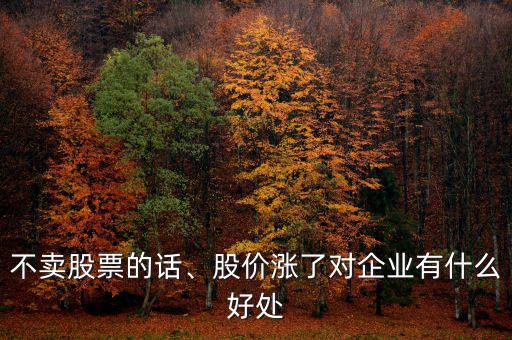 不賣股票的話、股價(jià)漲了對(duì)企業(yè)有什么好處