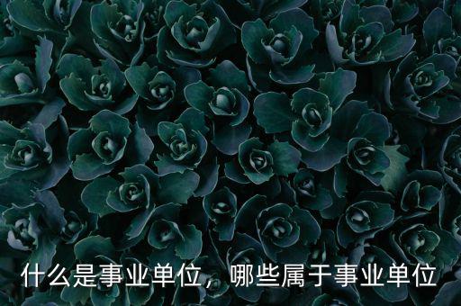 什么是事業(yè)單位，哪些屬于事業(yè)單位