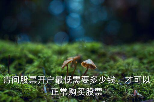 想玩股票開(kāi)戶多少錢(qián),開(kāi)戶最少需要多少錢(qián)