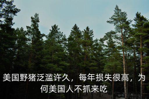 美國(guó)野豬泛濫許久，每年損失很高，為何美國(guó)人不抓來(lái)吃