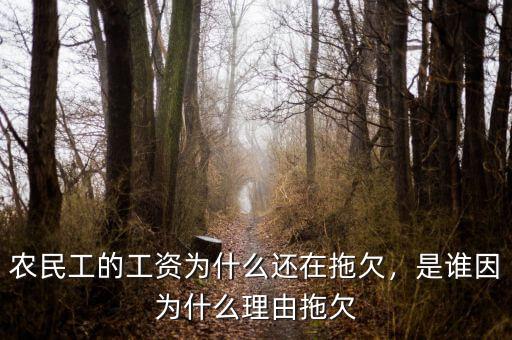 農(nóng)民工的工資為什么還在拖欠，是誰因為什么理由拖欠