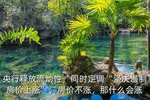 央行釋放流動性，同時定調(diào)“堅決遏制房價上漲”，房價不漲，那什么會漲