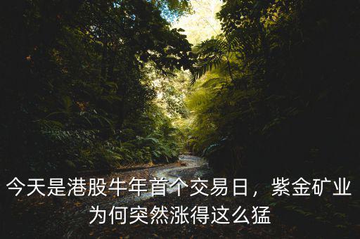 今天是港股牛年首個交易日，紫金礦業(yè)為何突然漲得這么猛