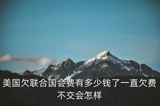 美國欠聯合國會費有多少錢了一直欠費不交會怎樣