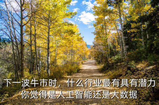 下一波牛市時(shí)，什么行業(yè)最有具有潛力你覺得是人工智能還是大數(shù)據(jù)