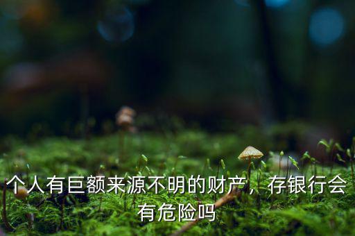 個人有巨額來源不明的財產，存銀行會有危險嗎