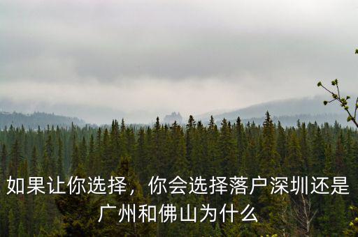 如果讓你選擇，你會選擇落戶深圳還是廣州和佛山為什么