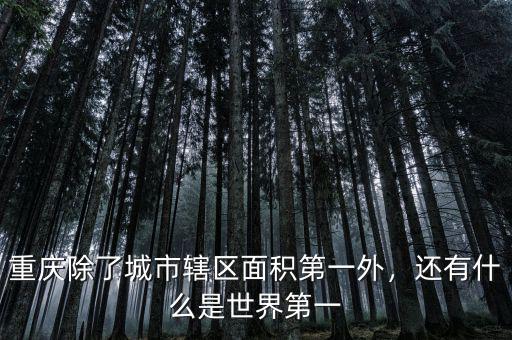 重慶除了城市轄區(qū)面積第一外，還有什么是世界第一