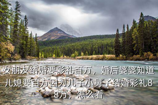 女朋友結(jié)婚要彩禮百萬(wàn)，婚后婆婆知道兒媳要百萬(wàn)因?yàn)閮鹤有【俗咏Y(jié)婚彩禮88萬(wàn)，怎么看