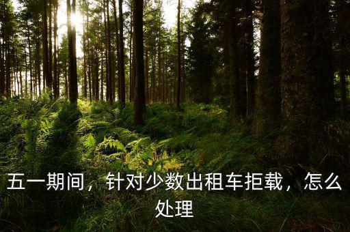 五一期間，針對少數(shù)出租車拒載，怎么處理