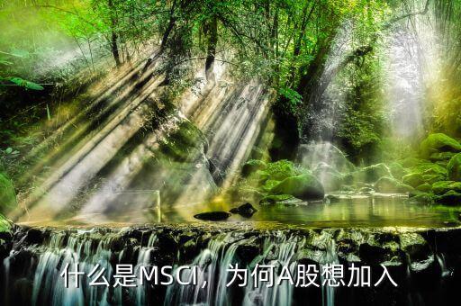 什么是MSCI，為何A股想加入