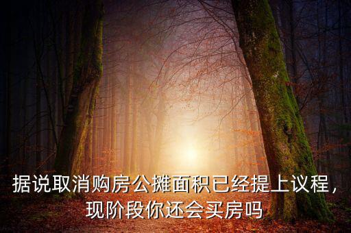 據(jù)說(shuō)取消購(gòu)房公攤面積已經(jīng)提上議程，現(xiàn)階段你還會(huì)買房嗎