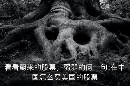 看看蔚來的股票，弱弱的問一句:在中國(guó)怎么買美國(guó)的股票