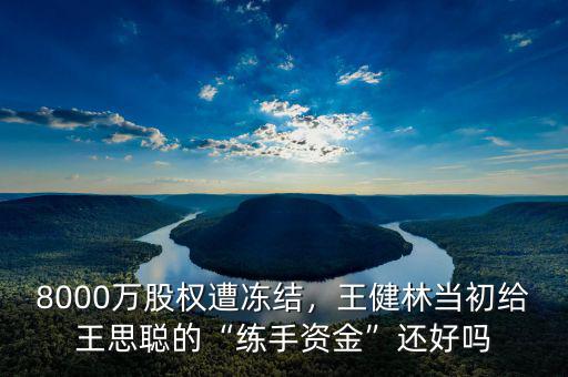 8000萬股權(quán)遭凍結(jié)，王健林當(dāng)初給王思聰?shù)摹熬毷仲Y金”還好嗎