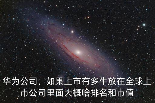 華為公司，如果上市有多牛放在全球上市公司里面大概啥排名和市值