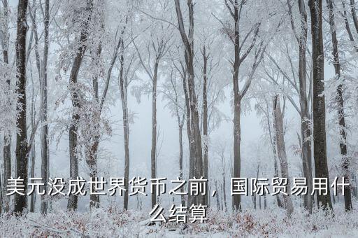 美元沒成世界貨幣之前，國際貿(mào)易用什么結(jié)算