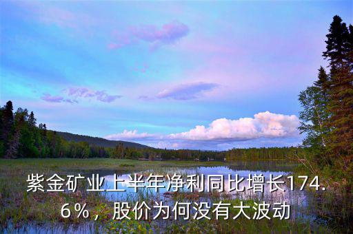 紫金礦業(yè)上半年凈利同比增長174.6％，股價為何沒有大波動