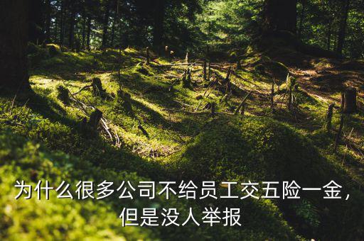 為什么很多公司不給員工交五險一金，但是沒人舉報