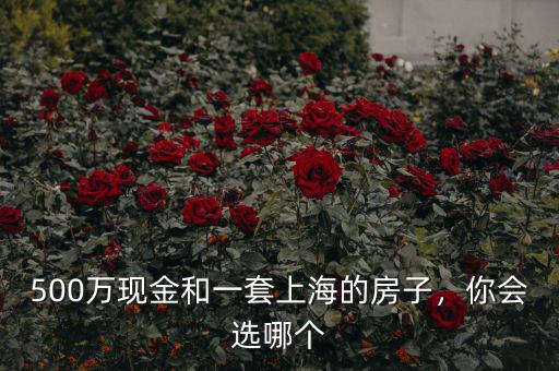 500萬現(xiàn)金和一套上海的房子，你會選哪個