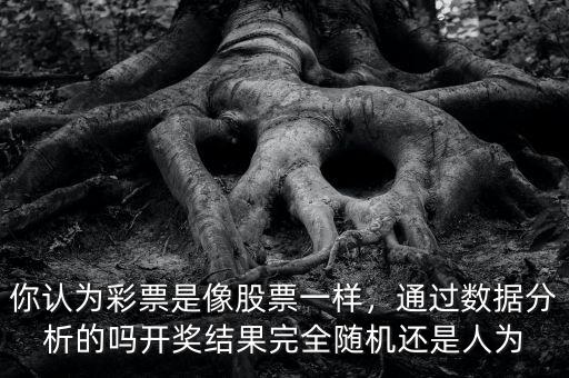 你認為彩票是像股票一樣，通過數(shù)據(jù)分析的嗎開獎結(jié)果完全隨機還是人為