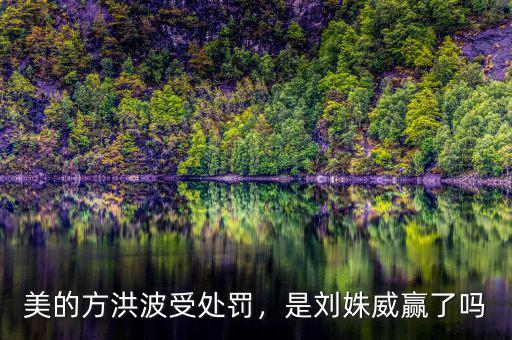 美的方洪波受處罰，是劉姝威贏了嗎