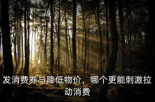 發(fā)消費(fèi)券與降低物價(jià)，哪個(gè)更能刺激拉動(dòng)消費(fèi)