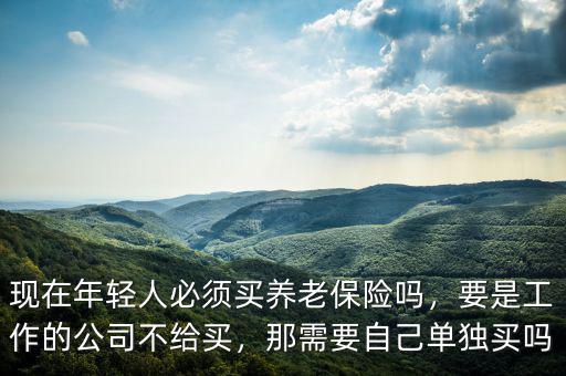 現(xiàn)在年輕人必須買養(yǎng)老保險嗎，要是工作的公司不給買，那需要自己單獨買嗎