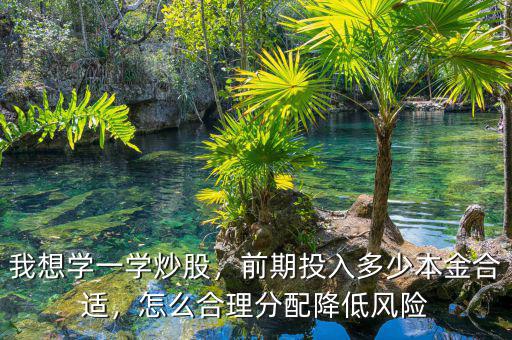 我想學(xué)一學(xué)炒股，前期投入多少本金合適，怎么合理分配降低風(fēng)險