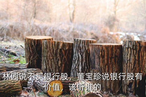 林園說(shuō)不買(mǎi)銀行股，董寶珍說(shuō)銀行股有價(jià)值，該聽(tīng)誰(shuí)的