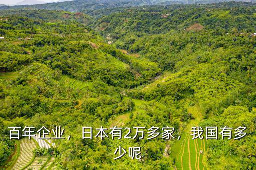 百年企業(yè)，日本有2萬(wàn)多家，我國(guó)有多少呢