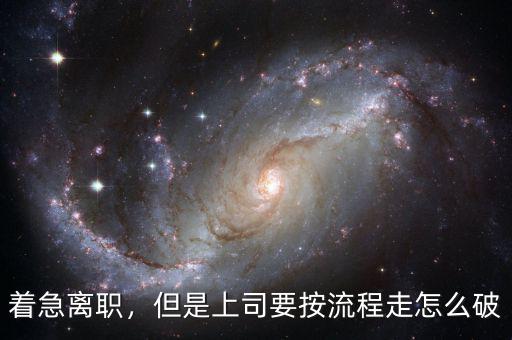 投奔怎么破,但是上司要按流程走。怎么破