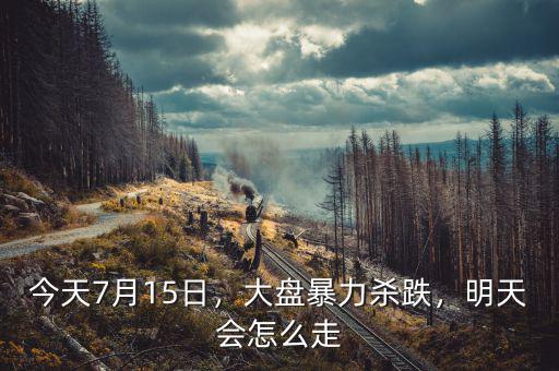 今天7月15日，大盤暴力殺跌，明天會怎么走