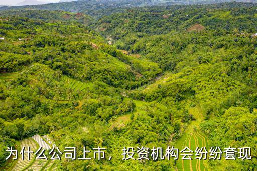 為什么公司上市，投資機構(gòu)會紛紛套現(xiàn)