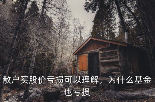 散戶買股價虧損可以理解，為什么基金也虧損