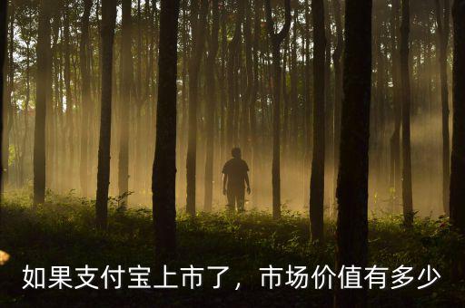 如果支付寶上市了，市場(chǎng)價(jià)值有多少
