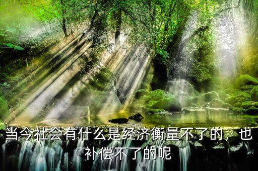 當(dāng)今社會有什么是經(jīng)濟(jì)衡量不了的，也補(bǔ)償不了的呢