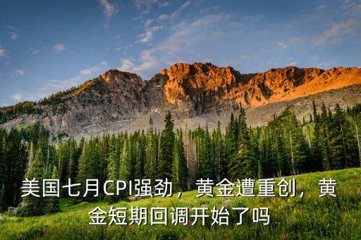 美國(guó)七月CPI強(qiáng)勁，黃金遭重創(chuàng)，黃金短期回調(diào)開始了嗎