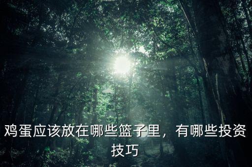 雞蛋應(yīng)該放在哪些籃子里，有哪些投資技巧